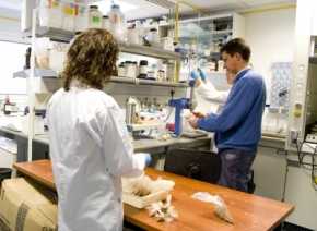 Investigadores de la Universidad de Jaén analizan pruebas en el laboratorio