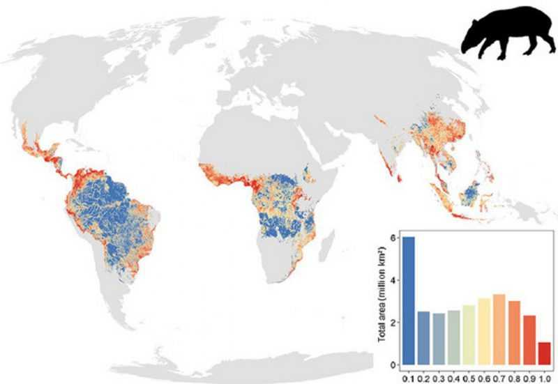 Diferentes niveles de defaunación de grandes mamíferos en los trópicos.