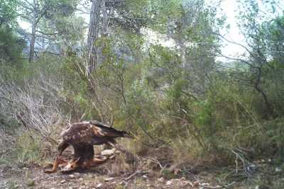 Fotografía ilustrativa del artículo