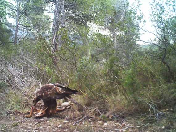 Fotografía ilustrativa del artículo
