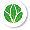 Icono del evento Año internacional de la sanidad vegetal