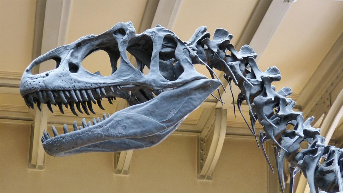 Los últimos dinosaurios europeos - Biodiversidad. Los enlaces de la vida Los últimos dinosaurios europeos - Biodiversidad. Los enlaces de la vida