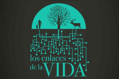 Fotografía ilustrativa del evento