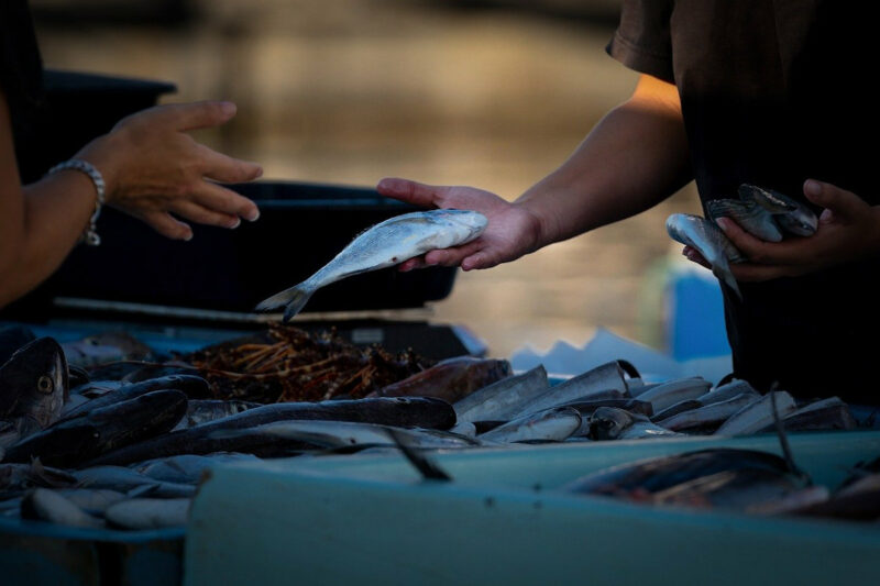 Fotografía de un vendedor de pescadería ofreciendo un pescado a un cliente