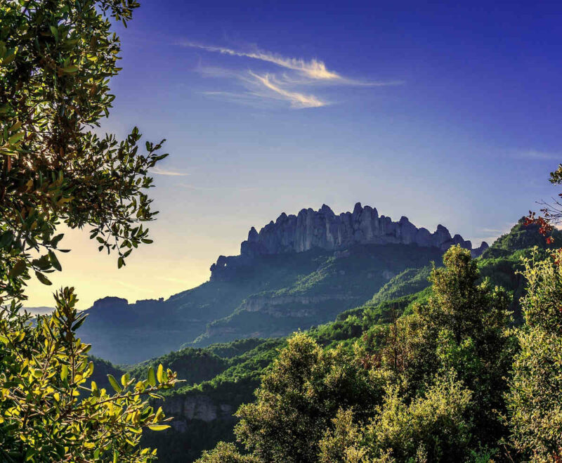 Fotografía de paisaje montañoso con vegetación en primer plano