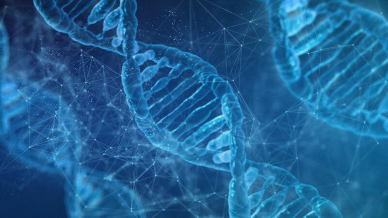 Simulación de imagen de la estructura de la molécula de ADN