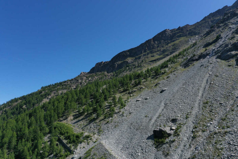 Fotografía de ladera de montaña con desprendimiento de rocas sobre árboles