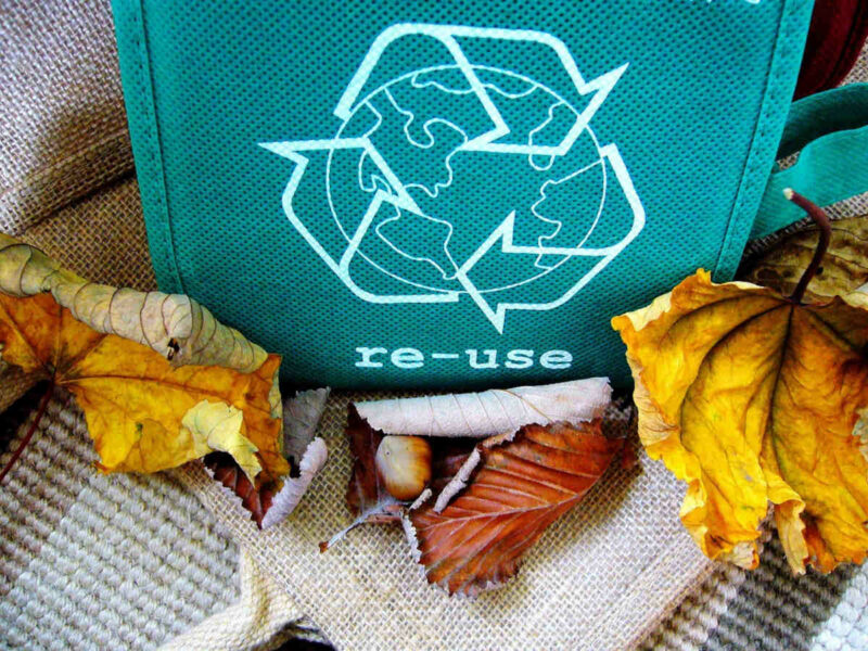 Fotografía de bolsa para la recogida de residuos orgánicos rodeada de hojas de árboles
