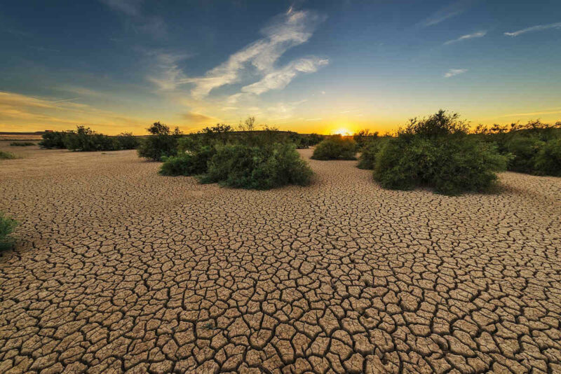 fotografía de paisaje con suelo seco cuarteado y presencia de algunos arbustos