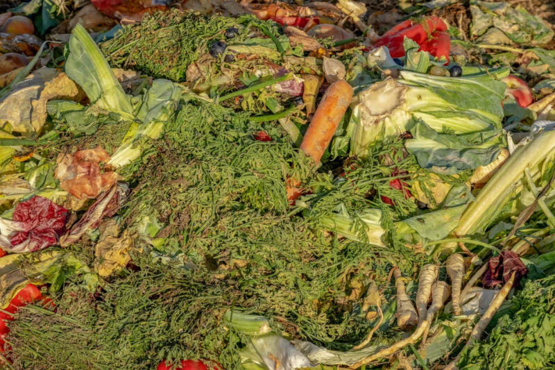 Fotografía de mezcla de verduras que ya no están frescas y aptas para consumo