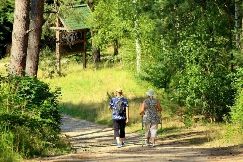 fotografía de hombre y mujer paseando por un carril de tierra junto a un bosque