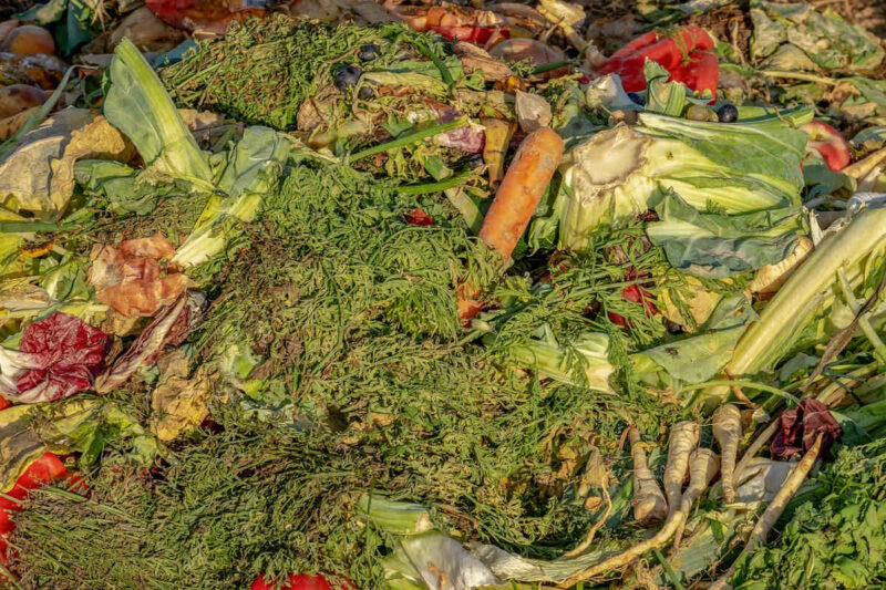 Fotografía de restos de diferentes verduras en el inicio del estado de descomposición.