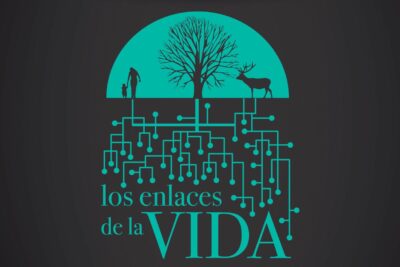 Fotografía ilustrativa del evento
