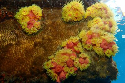 Fotografía ilustrativa del artículo