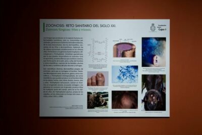 Fotografía ilustrativa del evento