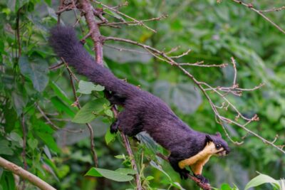 Fotografía ilustrativa del artículo