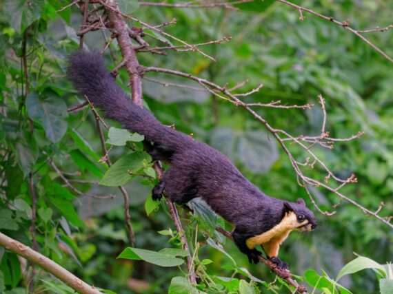 Fotografía ilustrativa del artículo