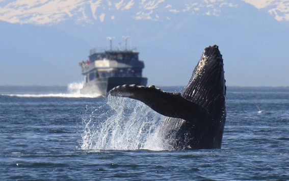 Fotografía ilustrativa del artículo