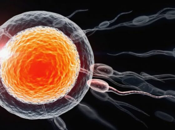 Fotografía ilustrativa del evento