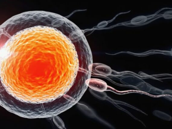 Fotografía ilustrativa del artículo