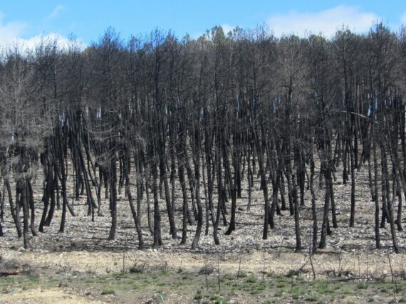 Fotografía ilustrativa del artículo