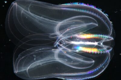 Fotografía ilustrativa del artículo