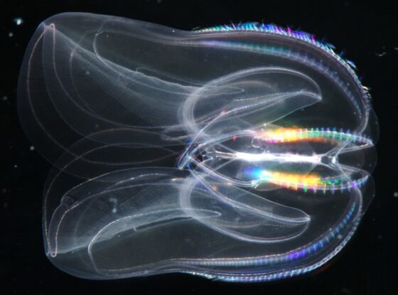 Fotografía ilustrativa del evento