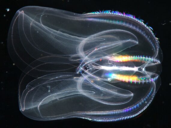 Fotografía ilustrativa del artículo