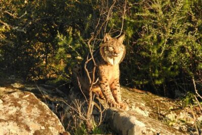 Fotografía ilustrativa del artículo