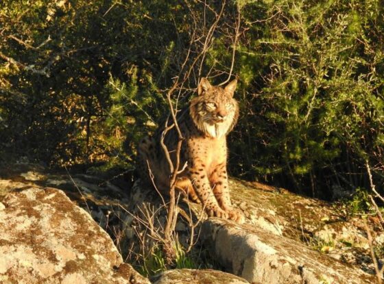 Fotografía ilustrativa del evento