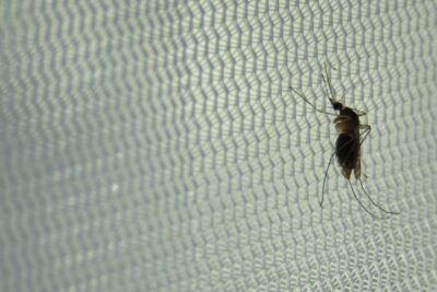 Fotografía ilustrativa del artículo