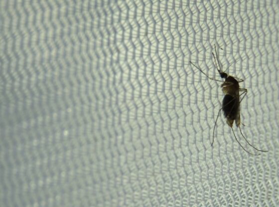 Fotografía ilustrativa del evento