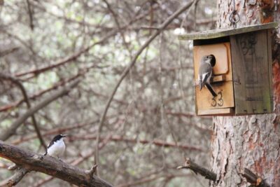 Fotografía ilustrativa del artículo