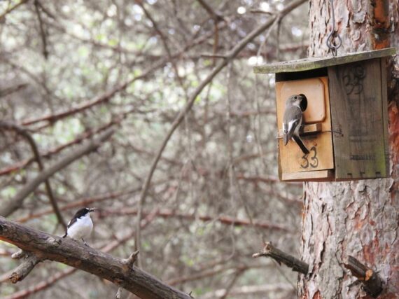 Fotografía ilustrativa del artículo