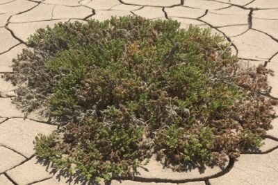 Fotografía ilustrativa del artículo