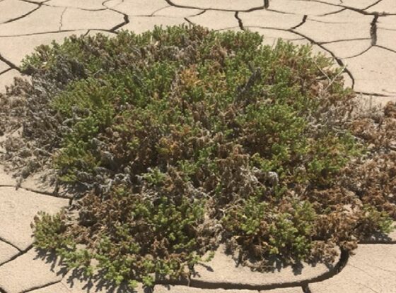 Fotografía ilustrativa del evento