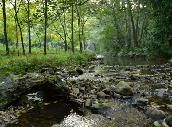 Fotografía ilustrativa del evento