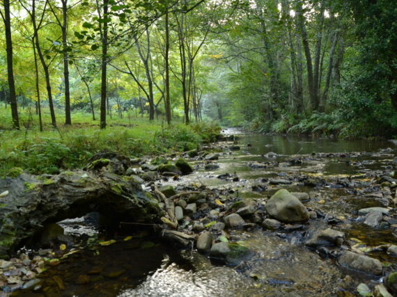 Fotografía ilustrativa del artículo