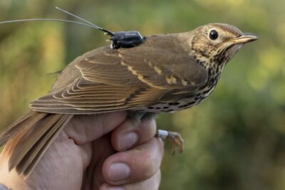 Fotografía ilustrativa del artículo