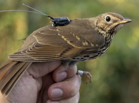 Fotografía ilustrativa del evento