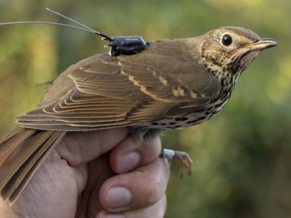 Fotografía ilustrativa del artículo