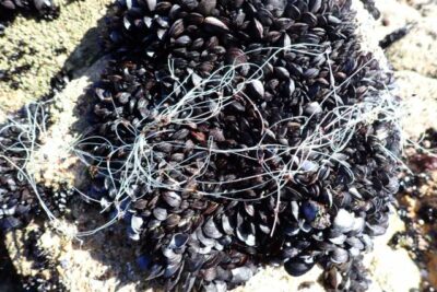 Fotografía ilustrativa del artículo