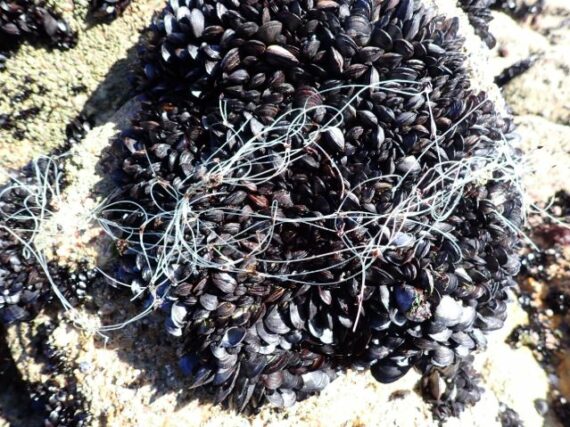 Fotografía ilustrativa del artículo