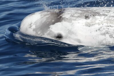 Fotografía ilustrativa del artículo