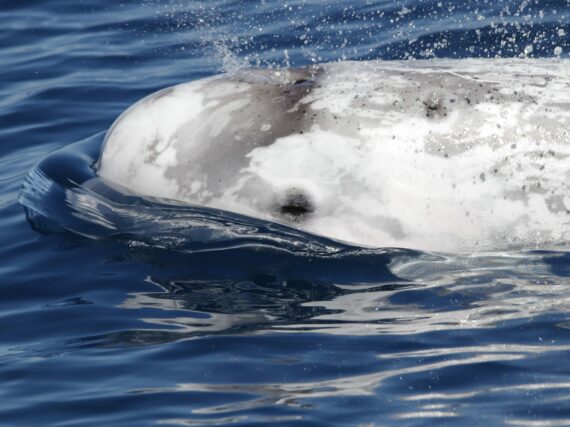 Fotografía ilustrativa del artículo