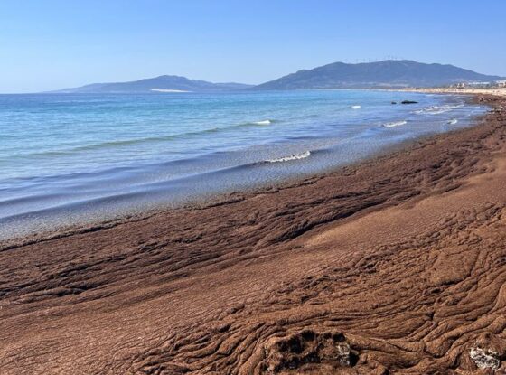 Fotografía ilustrativa del evento