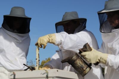 Fotografía ilustrativa del artículo