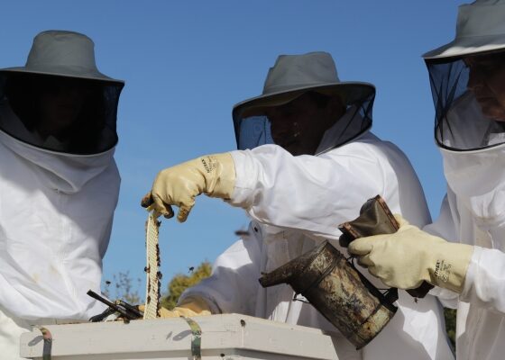 Fotografía ilustrativa del evento