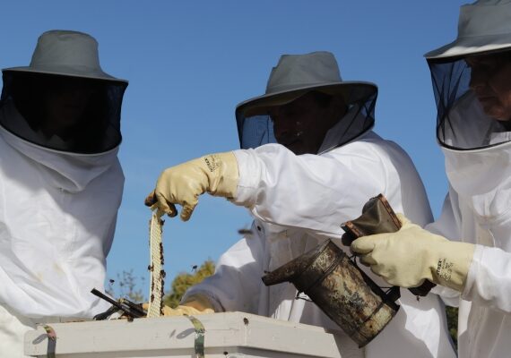 Fotografía ilustrativa del artículo