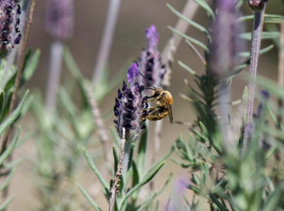 Fotografía ilustrativa del evento